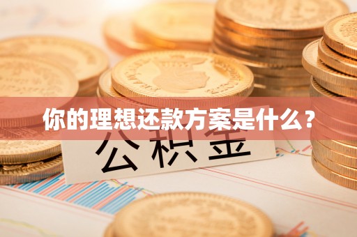 梅江你的理想还款方案是什么？