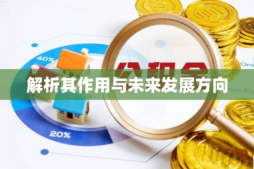梅江解析其作用与未来发展方向