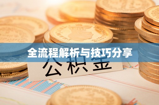 梅江全流程解析与技巧分享
